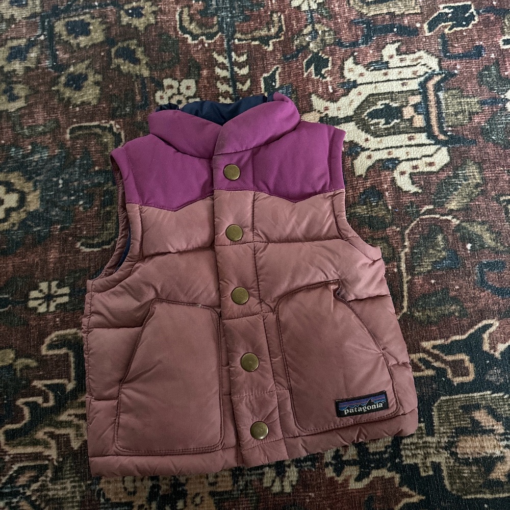 Patagonia Toddler Down Vest